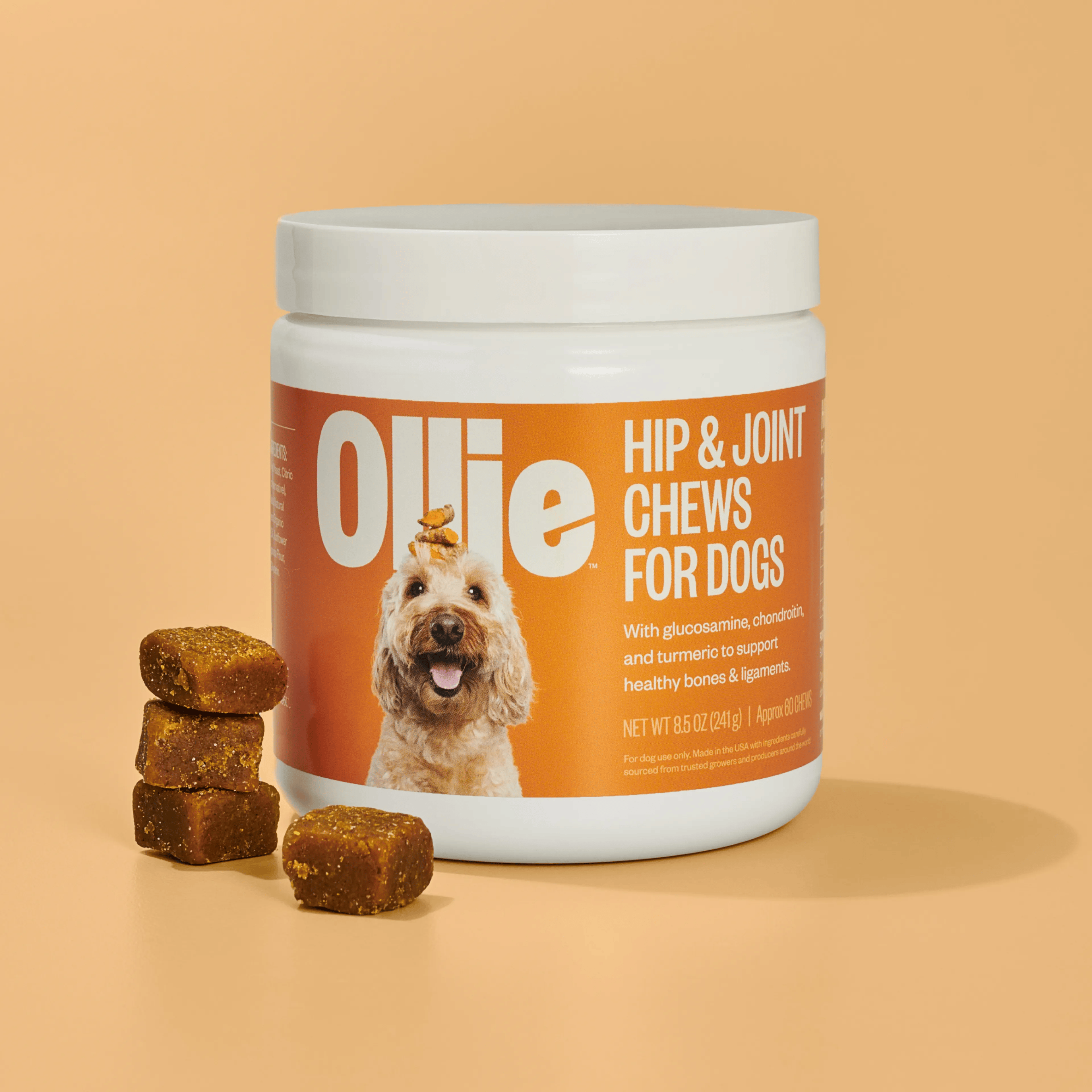 Dog Supplements